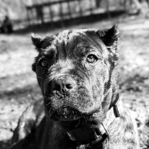 Meet your Posher, Branson